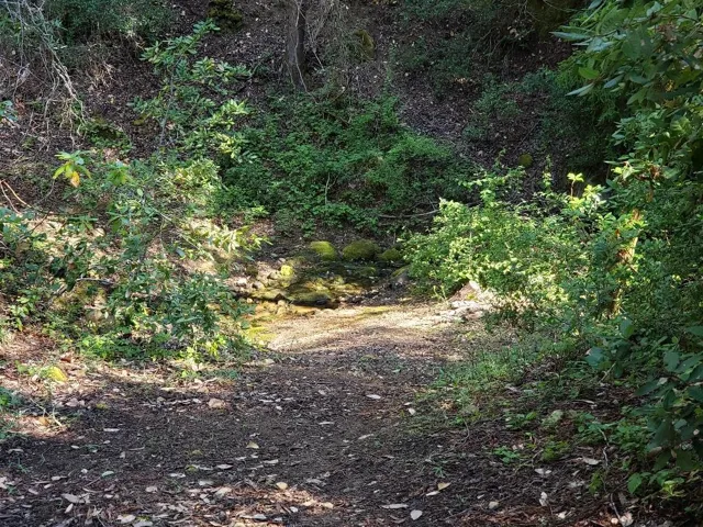 7164 Redwood Retreat Road, Gilroy, California 95020