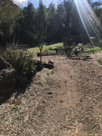 7164 Redwood Retreat Road, Gilroy, California 95020