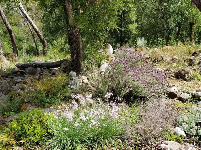 7164 Redwood Retreat Road, Gilroy, California 95020