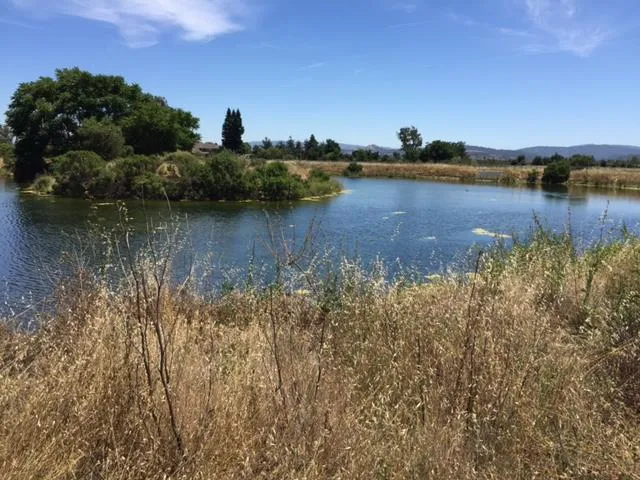 16750 Cabernet Circle, Morgan Hill, California 95037
