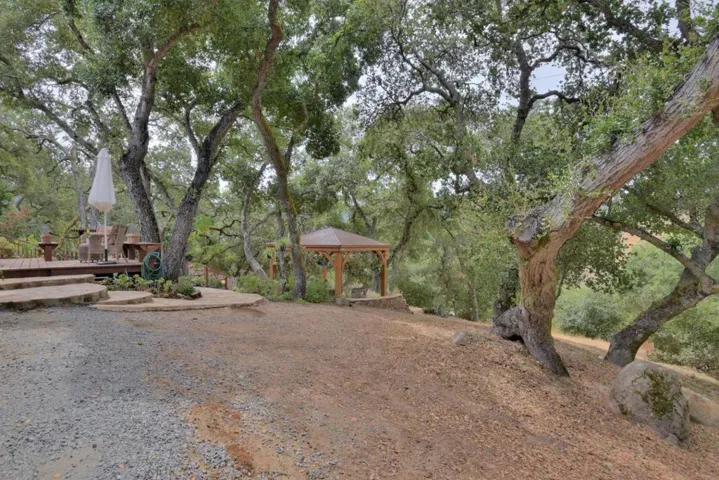 9007 El Matador Drive, Gilroy, California 95020