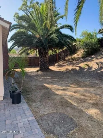 Side Backyard