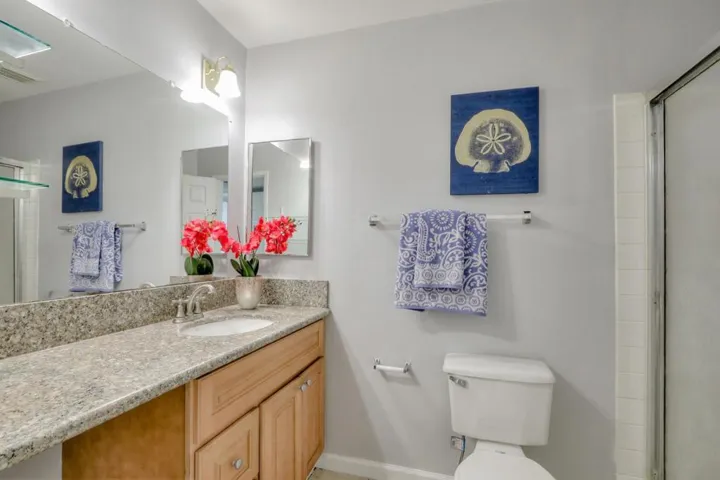 3899 Marfrance Drive, San Jose, California 95121
