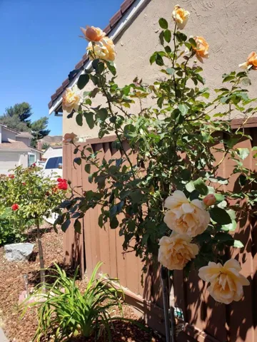 5840 Silver Leaf Road, San Jose, California 95138