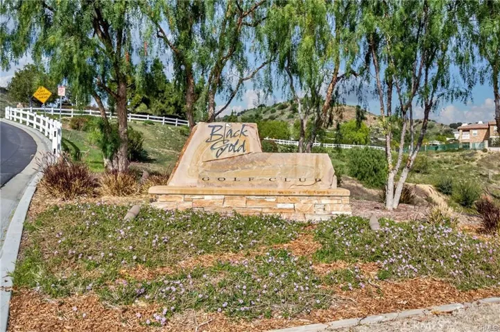 3830 Summer Holly Way, Yorba Linda, California 92886