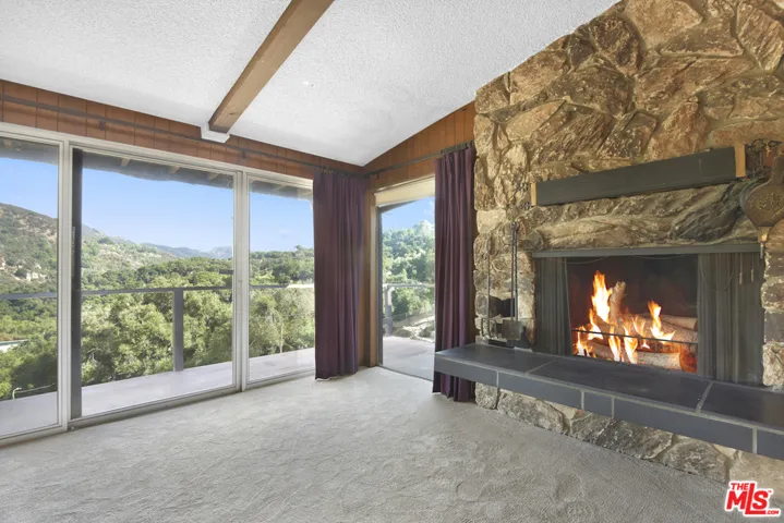 Living room & fireplace