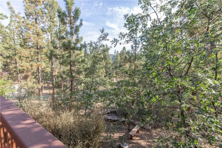 453 Vista Lane, Big Bear, California 92315
