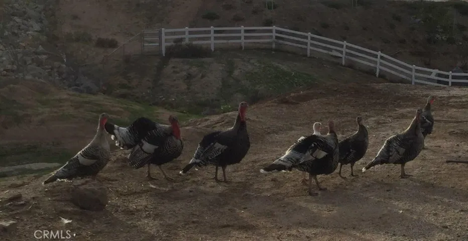 14797 Sunrise Hill Road, Riverside, California 92508