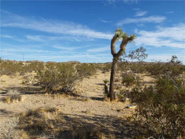 123 Juniper Road, Joshua Tree, California 92252