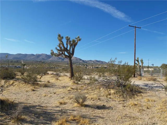 123 Juniper Road, Joshua Tree, California 92252