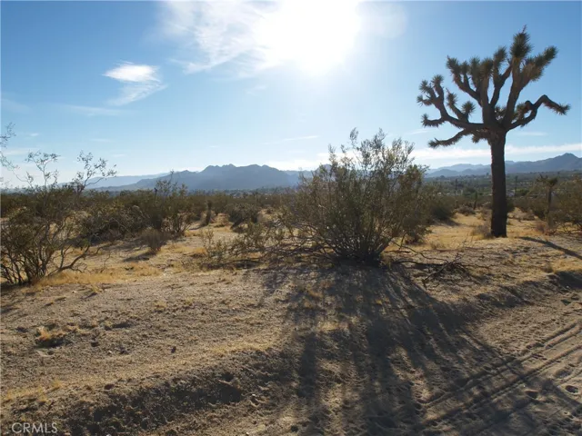 123 Juniper Road, Joshua Tree, California 92252
