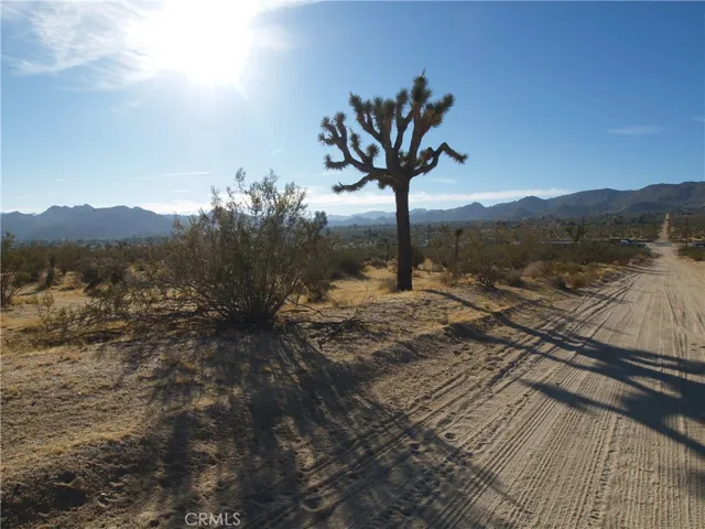 123 Juniper Road, Joshua Tree, California 92252