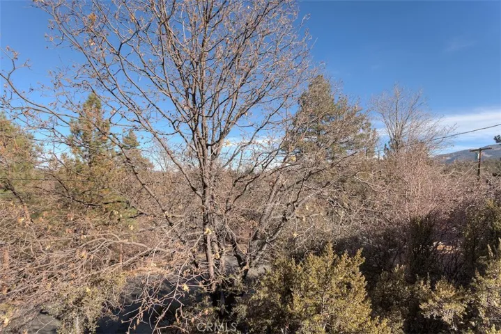 519 Villa Grove Avenue, Big Bear, California 92314
