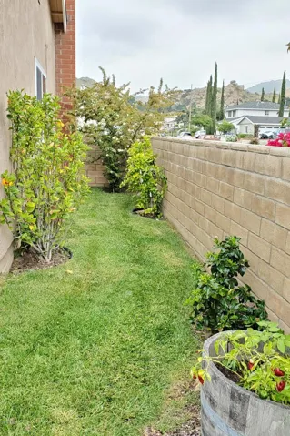 Left side of house
