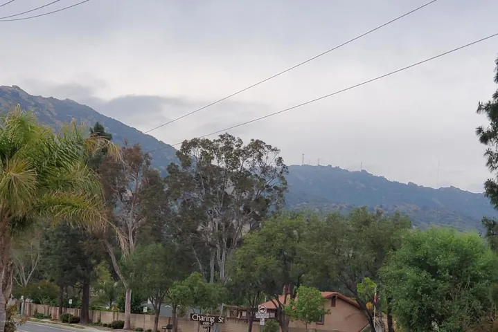 Backyard View_0007