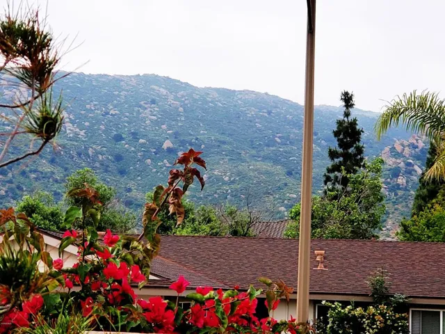 Backyard view_0008