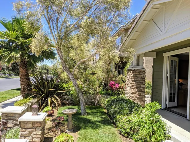 Front Yard