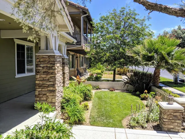 Front Yard