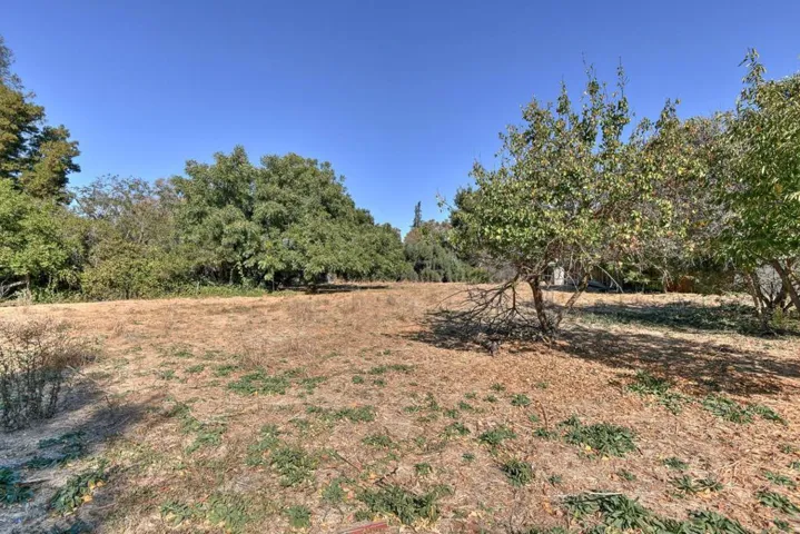 1066 Bird Avenue, San Jose, California 95125
