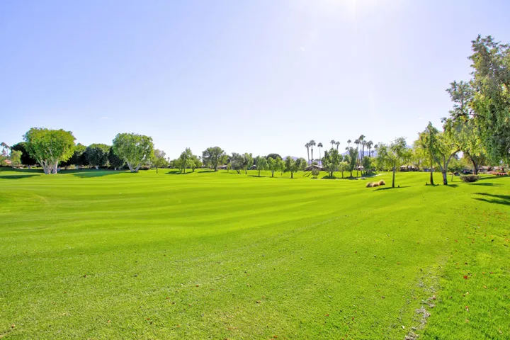 zzzzzzzzzz