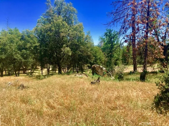 33595 Road 223, North Fork, California 93643
