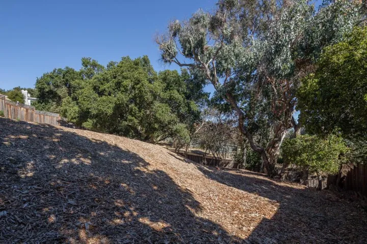 35 Palomar Oaks Lane, Redwood City, California 94062