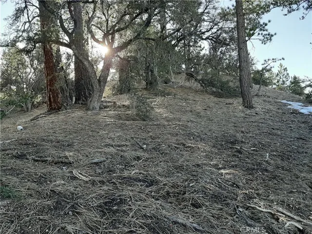 0 Ironwood Drive, Big Bear, California 92315