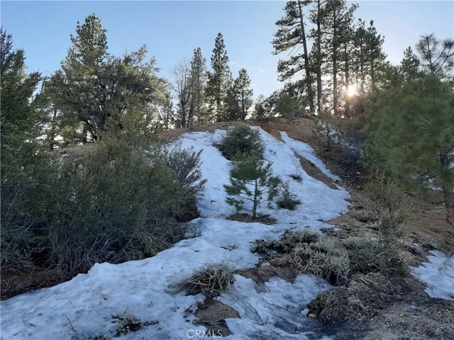 0 Ironwood Drive, Big Bear, California 92315