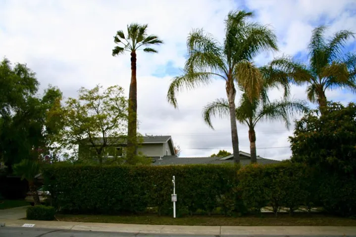 1129 Holmes Avenue, Campbell, California 95008