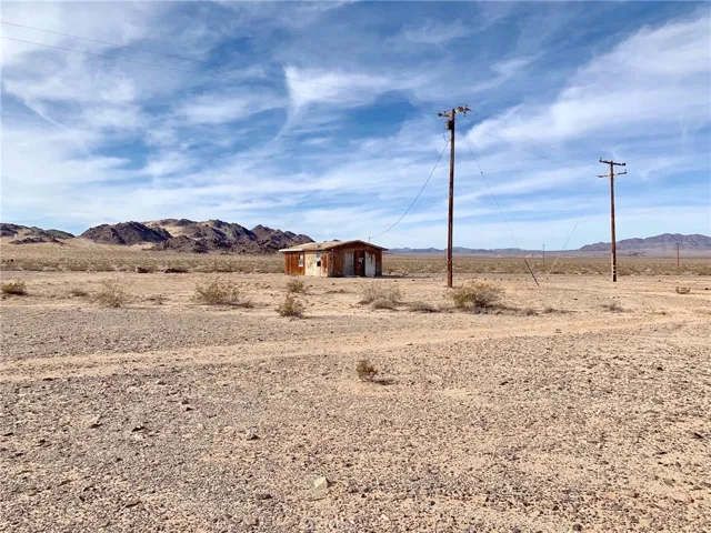 80300 Screech Owl, 29 Palms, California 92277