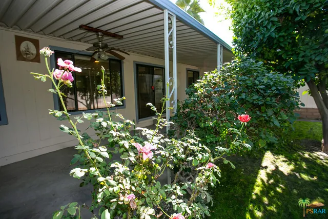 mature landscaping