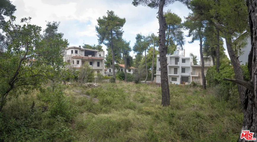 9 A N T H O U S O N G R E E C E, ,Land,For Sale,ANTHOUSON GREECE,19421988