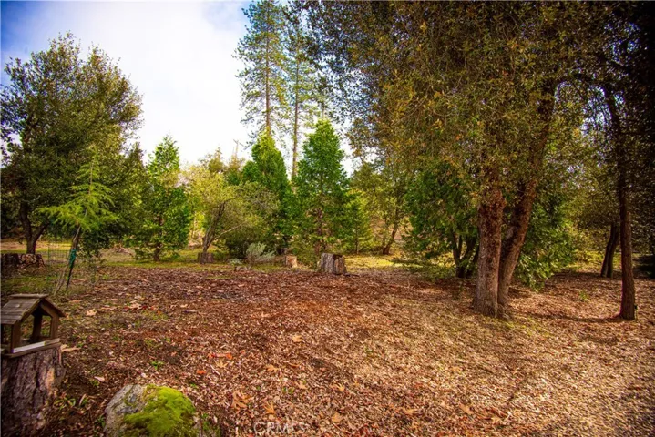 5595 Ponderosa Court, Mariposa, California 95338
