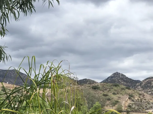 View from back of house