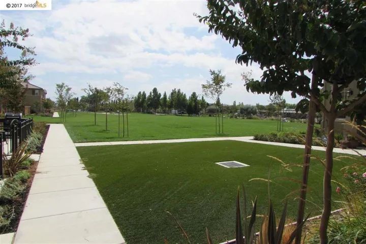 842 Fan Palm Ln, Brentwood, California 94513