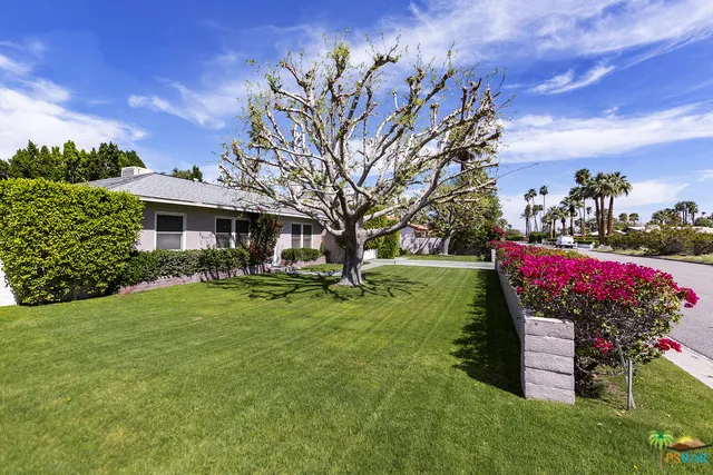 Front Side Yard