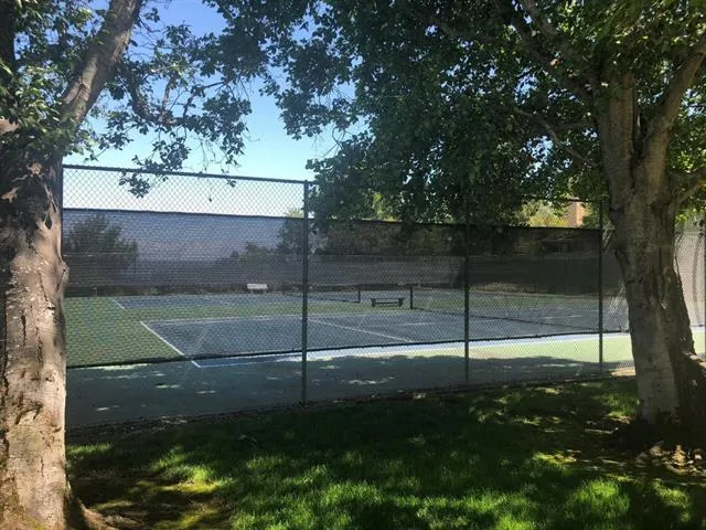 13 Calypso Lane, San Carlos, California 94070