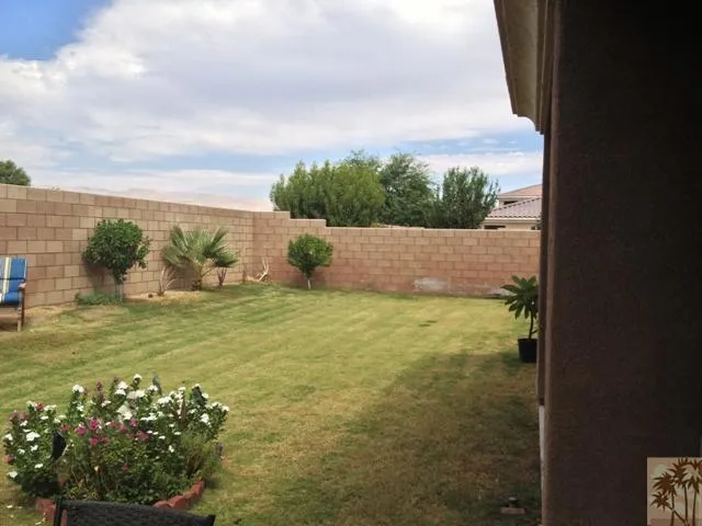 Additional Photo