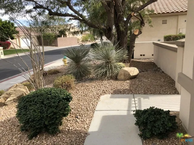 Front Yard