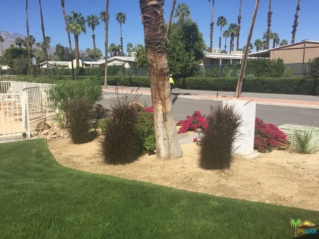 Additional Photo