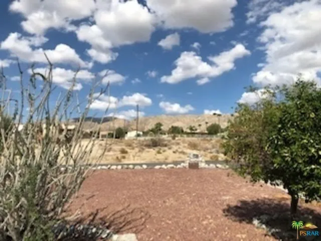 View from Back Patio