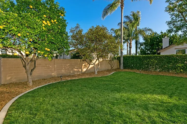 3061 Rancho La Presa, Carlsbad, California 92009