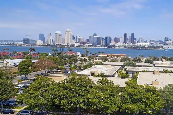 San Diego's skyline in the distance.