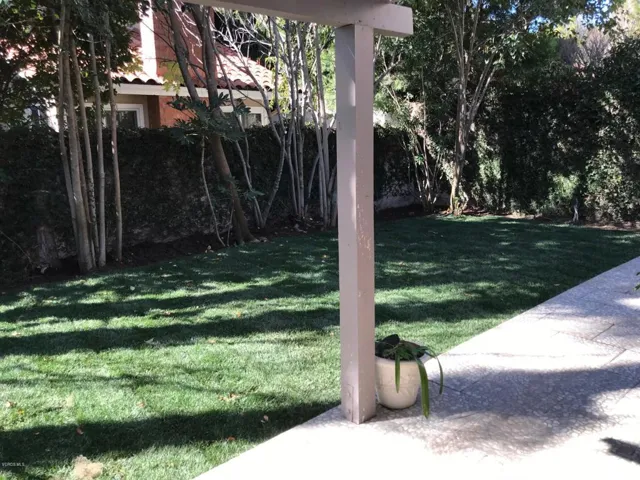 rear yard