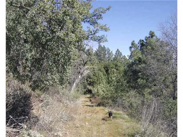 80 Acres Mesa Grande, Santa Ysabel, CA 92070.