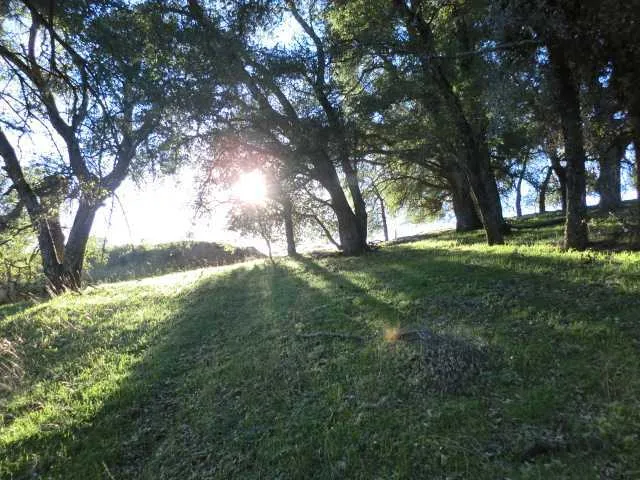 Amazing Mesa Grande property.