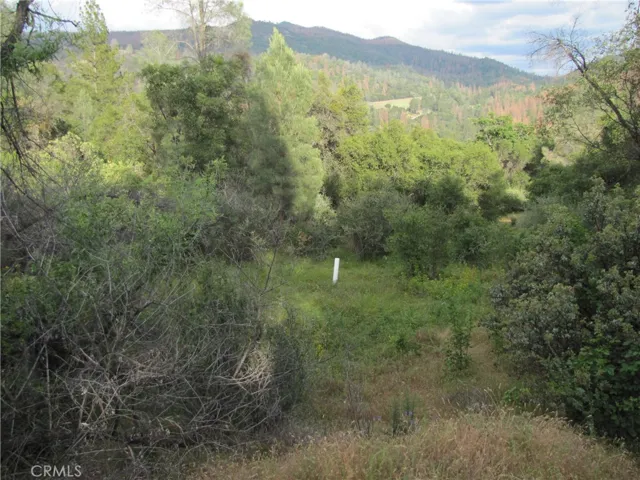 2255 Kemble Road, Mariposa, California 95338