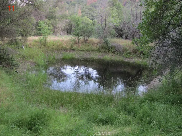 2255 Kemble Road, Mariposa, California 95338