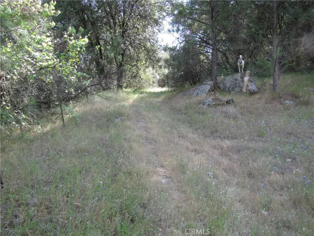 2255 Kemble Road, Mariposa, California 95338