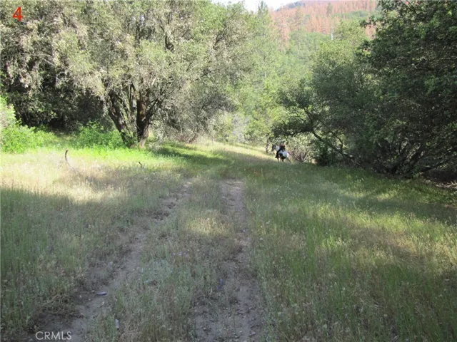 2255 Kemble Road, Mariposa, California 95338
